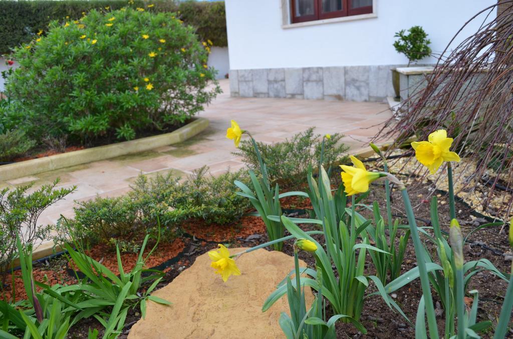 Beija-Flor House Villa Ribamar  Eksteriør billede