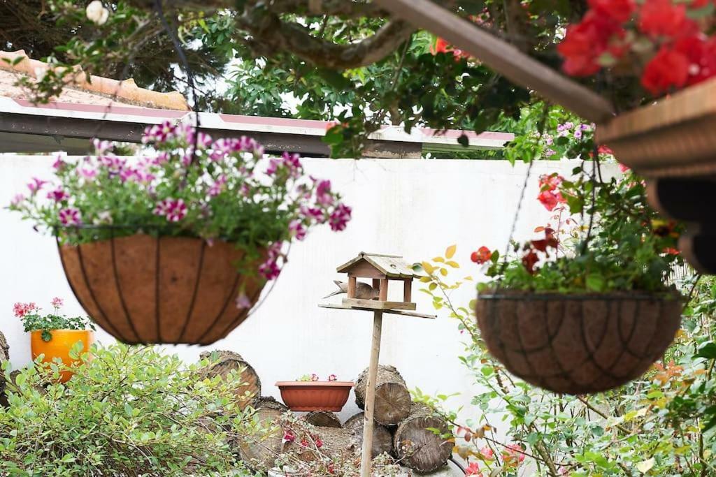 Beija-Flor House Villa Ribamar  Eksteriør billede